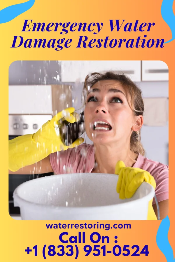 Emergency Water Damage Restoration in Brookhaven, MS