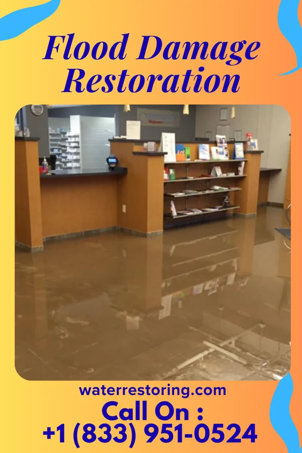 Flood Damage Restoration in Brookhaven, MS