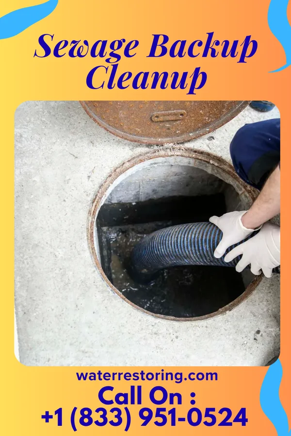 Sewage Backup Cleanup in Brookhaven, MS