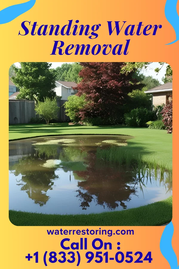 Standing Water Removal in Brookhaven, MS